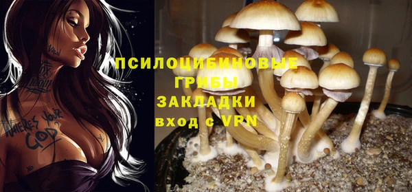 прущий лед Алексеевка